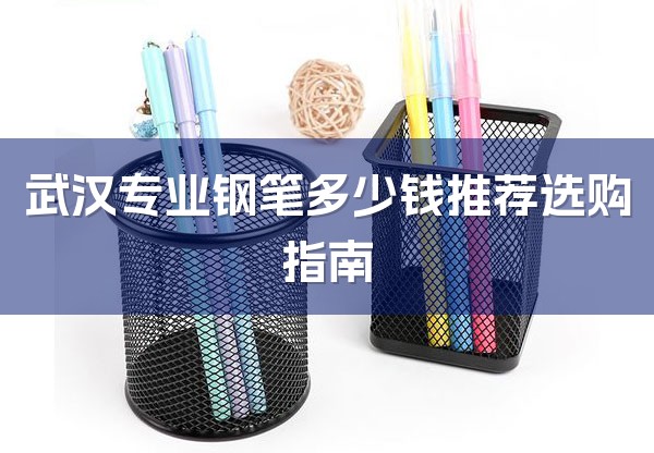 武汉专业钢笔多少钱推荐选购指南-1