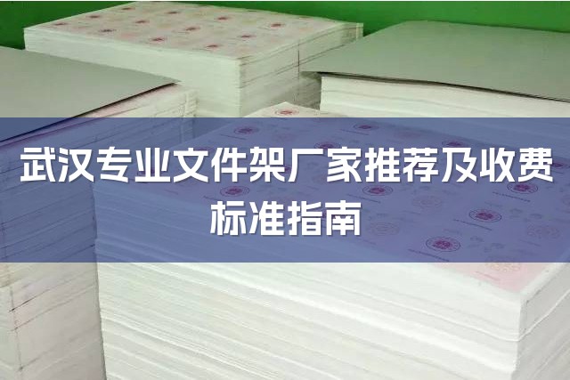 武汉专业文件架厂家推荐及收费标准指南-1